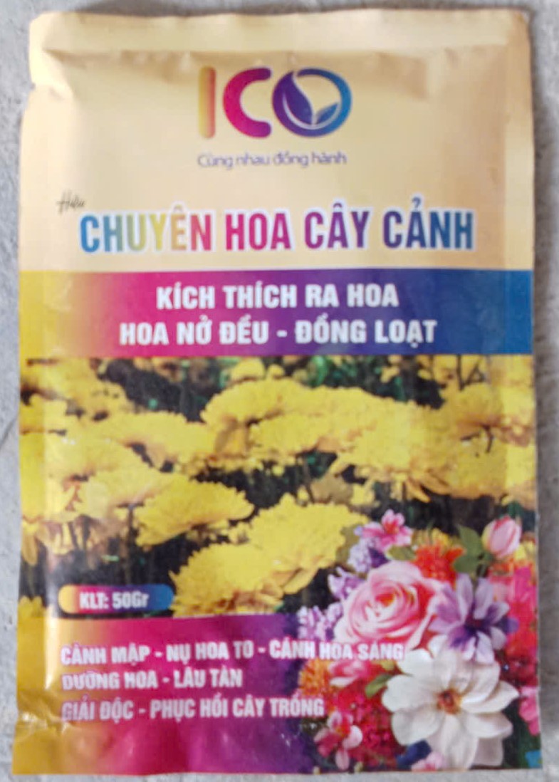 CHUYÊN HOA CÂY CẢNH