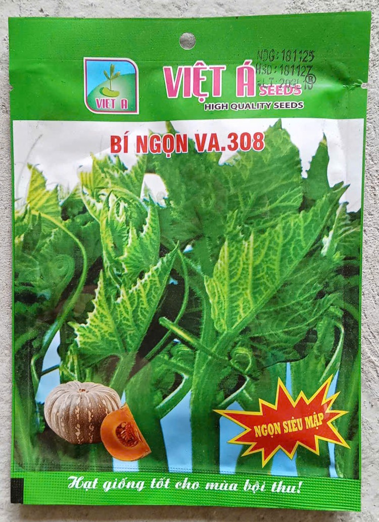 Bí Ngọn VA.308 (Ngọn siêu mập) - Việt Á Seeds
