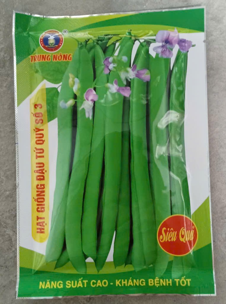 Đậu cove tứ quý số 3 - TRUNG NÔNG