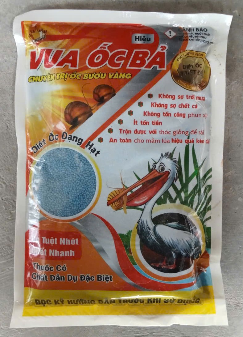Vua Ốc Bả ( Ốc Rắc )