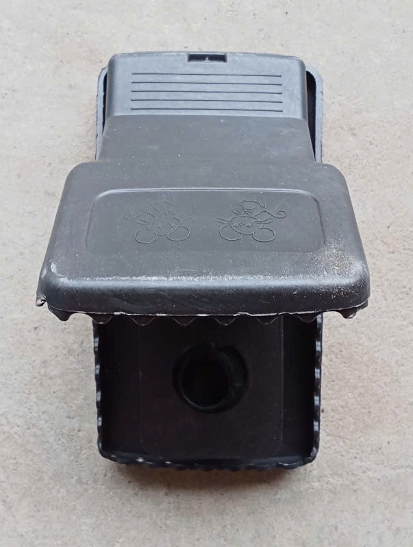Bẫy Chuột Kẹp Nhưa ( Chiếc )