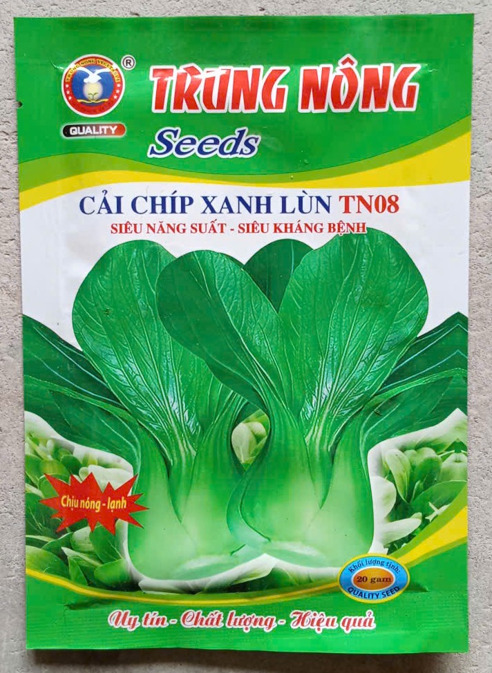 Cải Chíp Xanh Lùn TN08