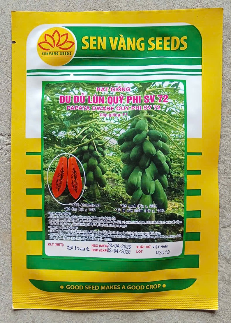 Đu Đủ Lùn Quý Phi SV 72 ( Gói )