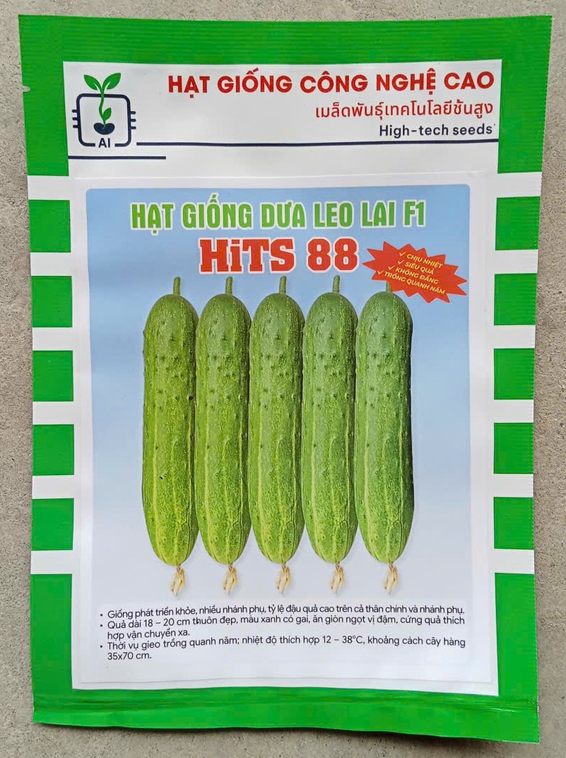 Dưa Leo Lai F1 HITS 88 ( Gói )