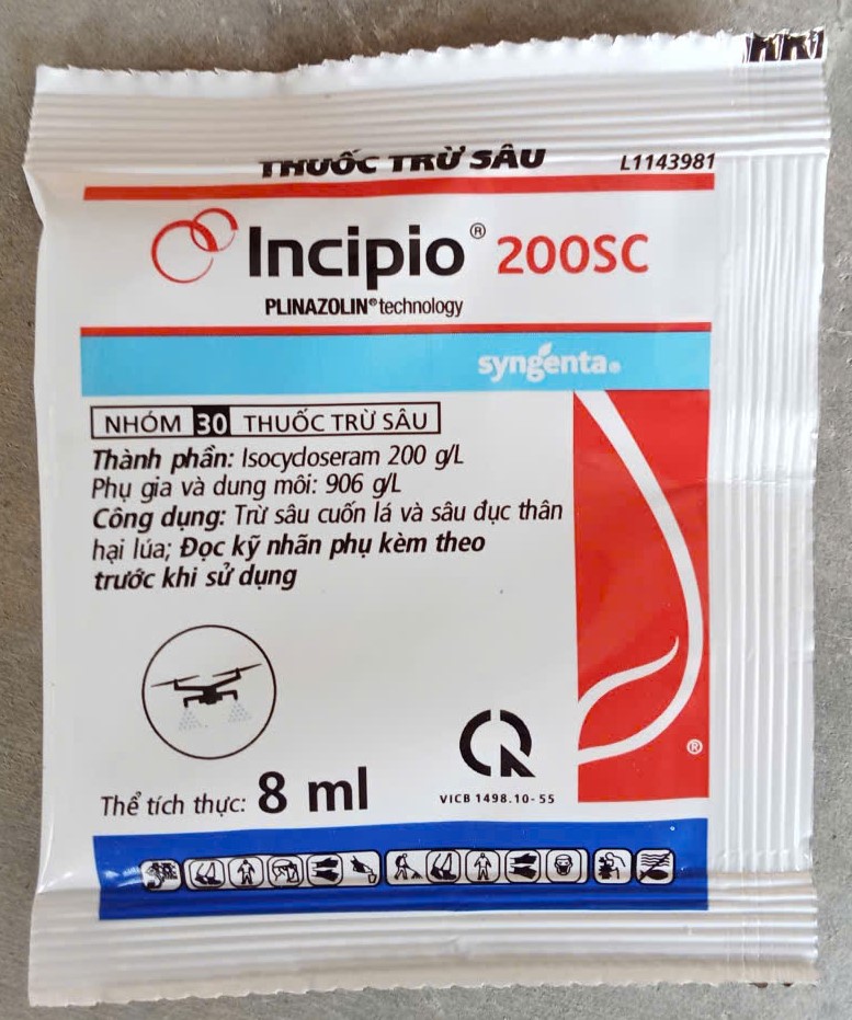 Incipio ( Đục Thân, Cuốn Lá )