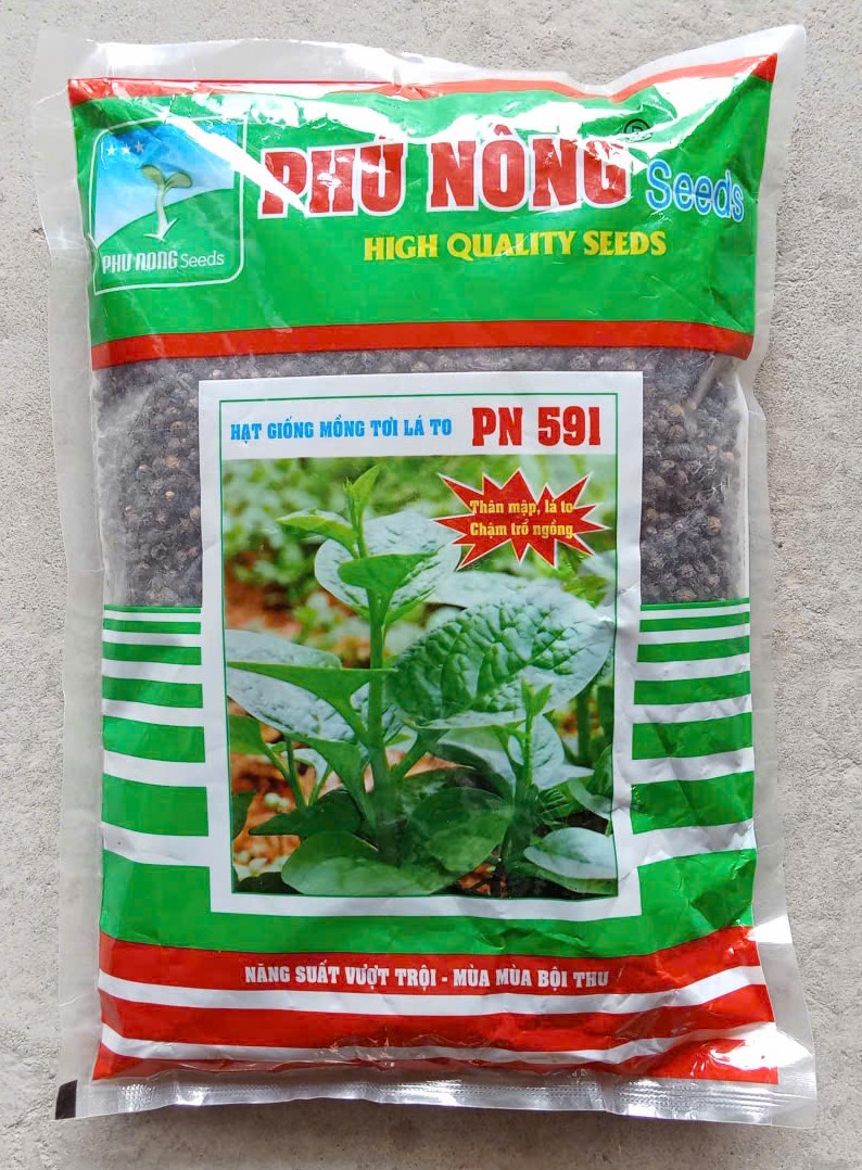 Mồng Tơi Lá To PN 591 ( Lạng )