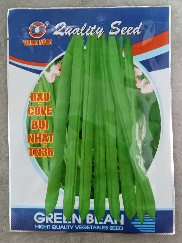 Đậu Cove Bụi Nhật TN36 - TRUNG NÔNG