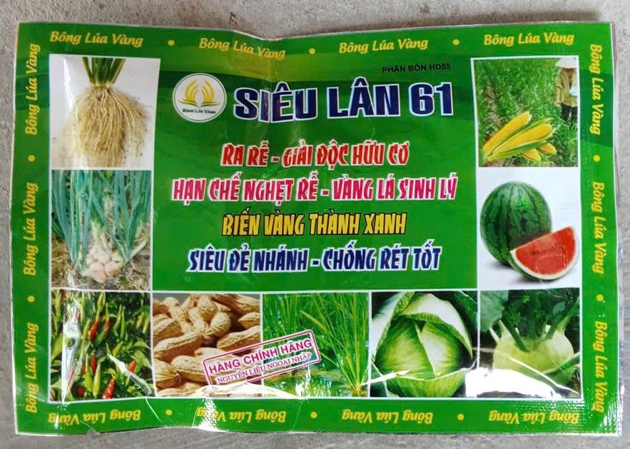 SIÊU LÂN 61 ( Ra rễ, đẻ nhánh )
