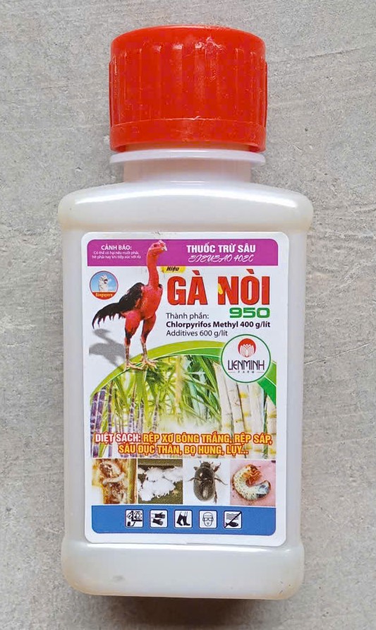 GÀ NÒI 950 ( Khắm ) ( Đục thân, rệp sáp )