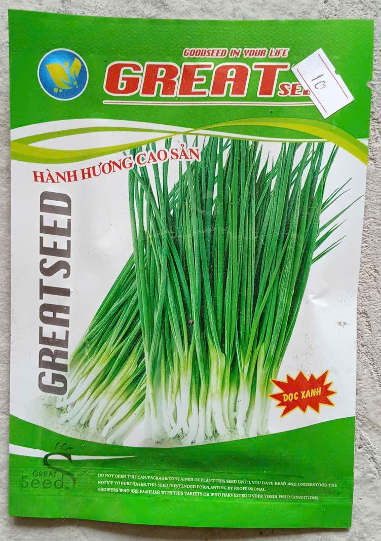 Hành Hương Cao Sản - GREAT SEED