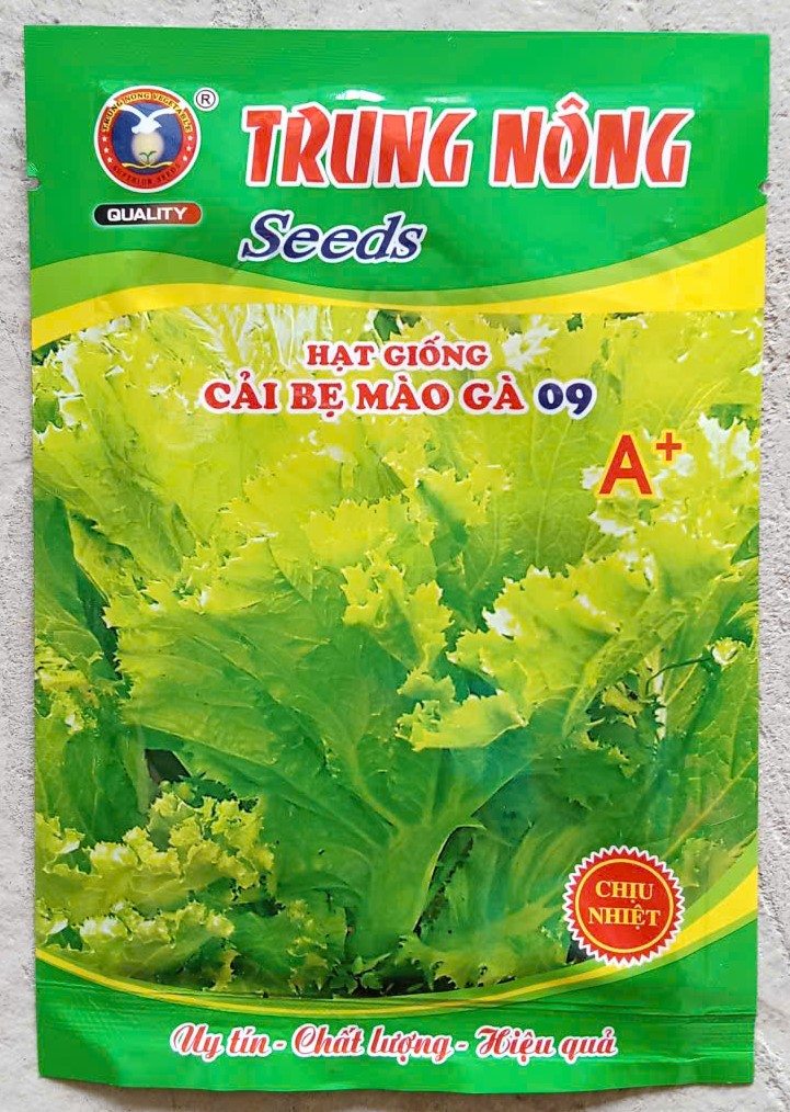 Cải Bẹ Mào Gà 09 A+  ( Cải Canh )