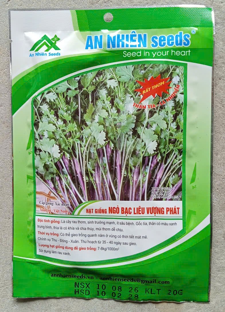 Mùi Tía Bạc Liêu Vượng Phát (An Nhiên Seeds)