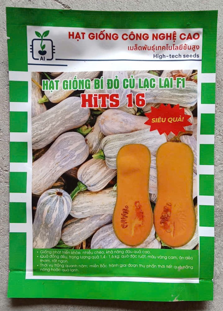 Bí Đỏ Củ Lạc Lai F1 HITS 16 ( Gói )