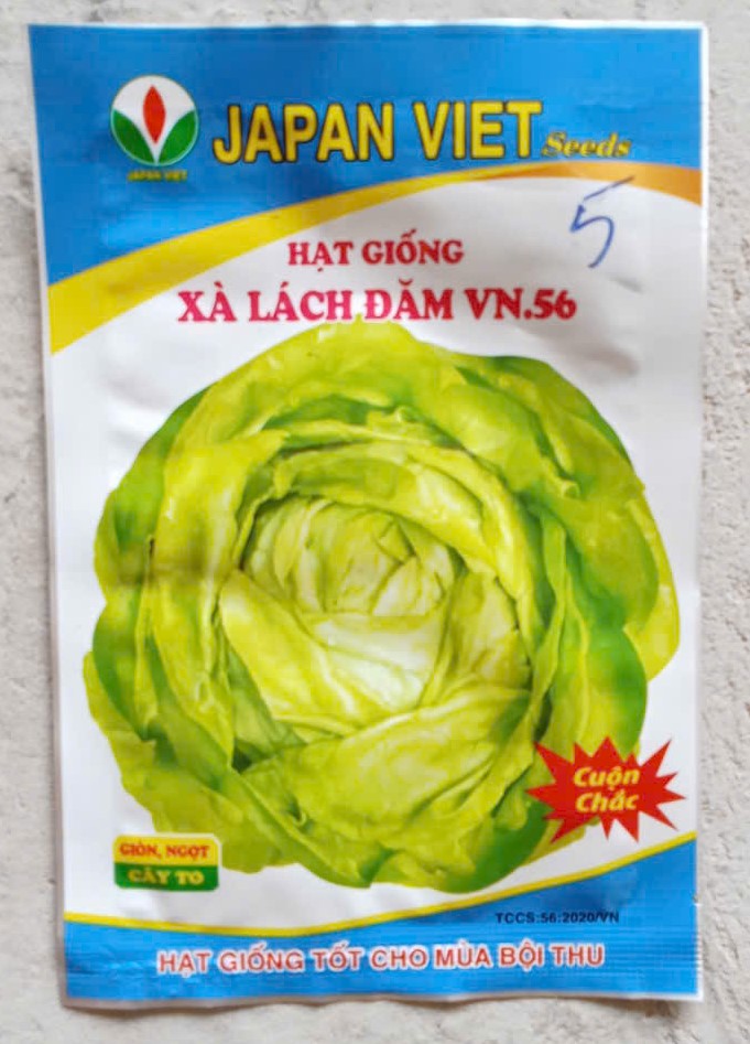 Xà Lách Đăm VN.56 - ( Rau Diếp )