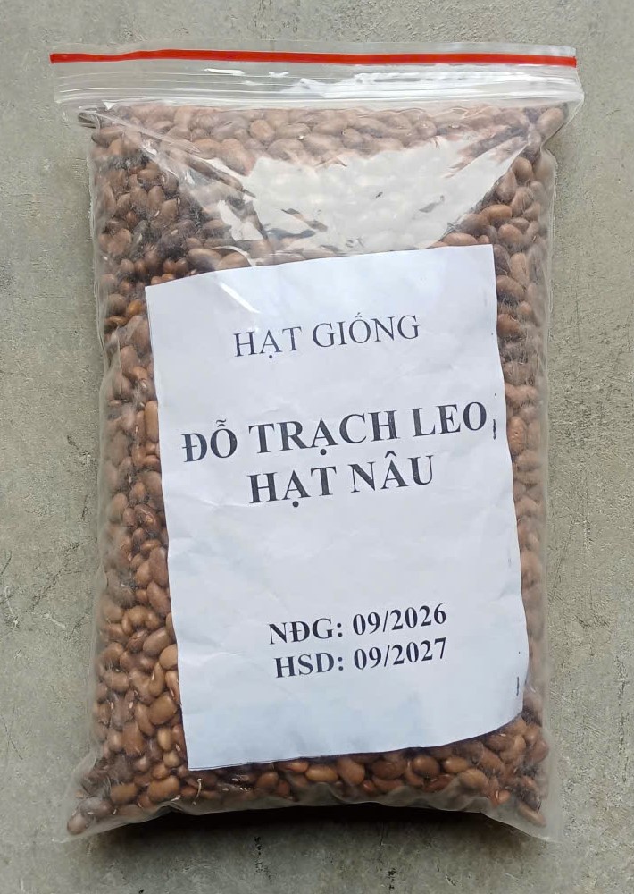 Đỗ Trạch Leo, Hạt Nâu ( Lạng )