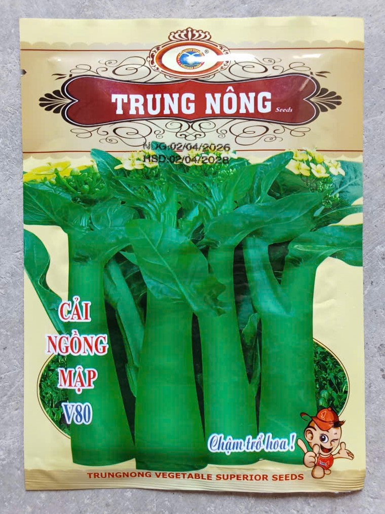 Cải Ngồng Mập V80 - Trung Nông Seeds ( Gói )