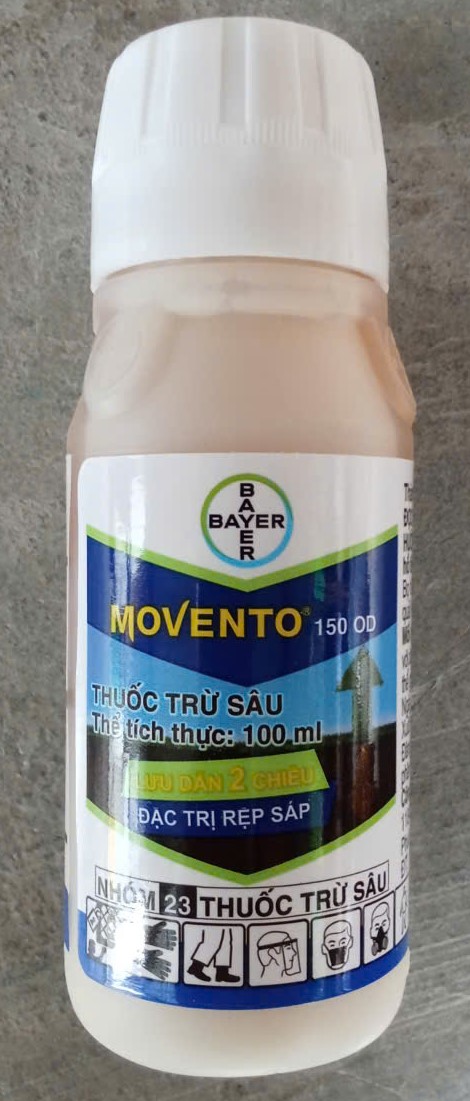 MOVENTO ( Rệp sáp, Côn trùng chích hút )