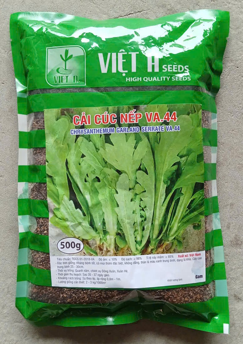 Cải Cúc Nếp VA.44 ( Lạng )
