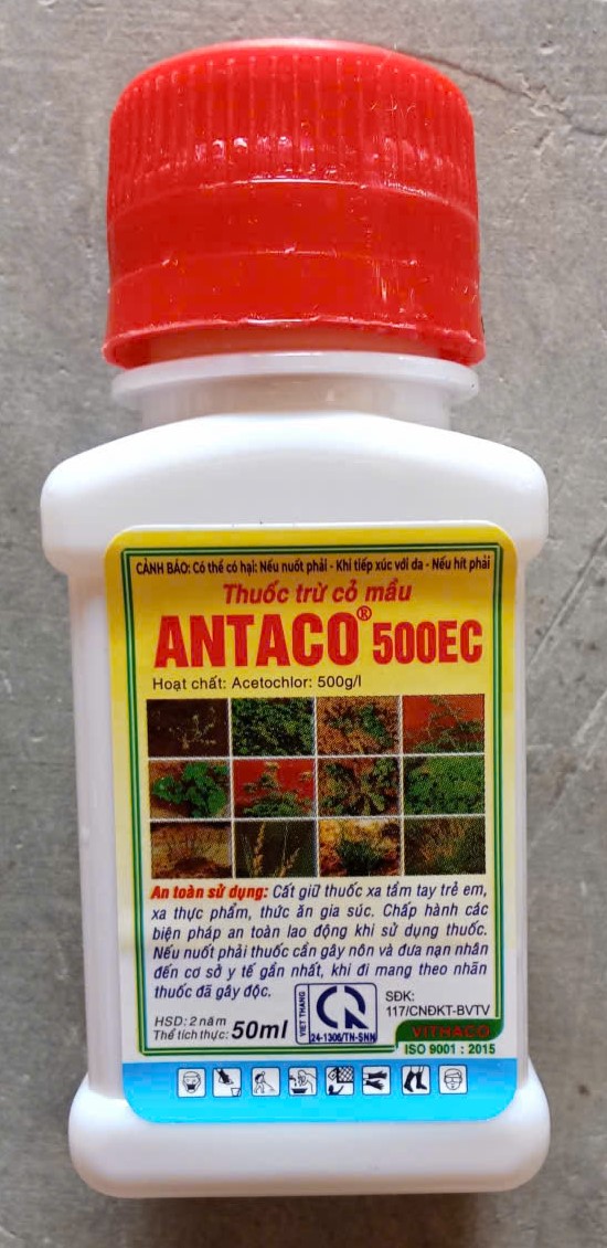 ANTACO 500ECL ( Trừ cỏ Bờ )