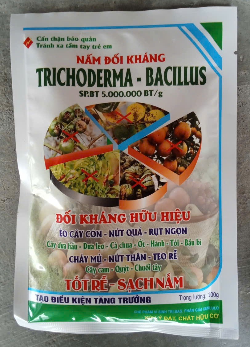 Nấm đối kháng Trichoderma - Bacillus