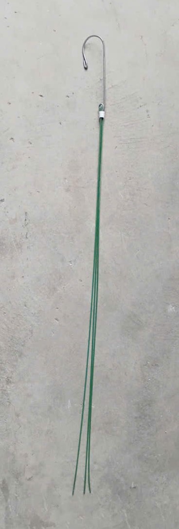 Dây Treo Hoa Lan