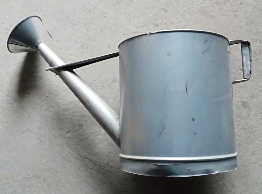 Zoa Tưới Sắt Tròn To
